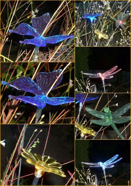 Photo du dimanche : lueurs noctures lumières nocturnes