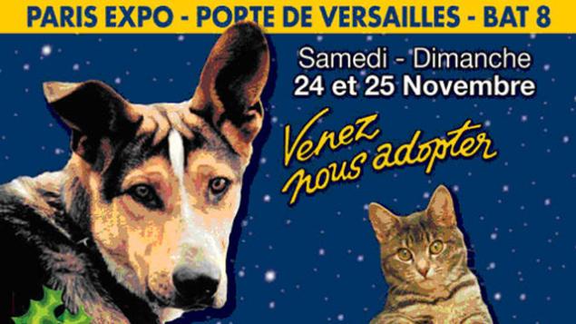 Le Noël des animaux abandonnés 2012 à la Porte de Versailles