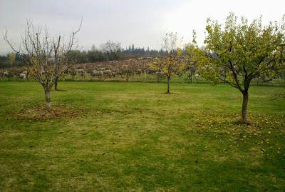 Mon dimanche en Provence Mon dimanche en Provence