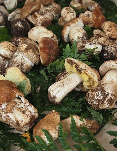 Un marché d'automne sur le cours Saleya Diapositive07.jpg