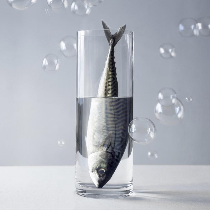 Juliette Bates Juliette Bates