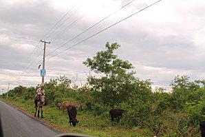D'Higuey et Boca Yuma, et ile Catalyna vacances-2012-7135.JPG