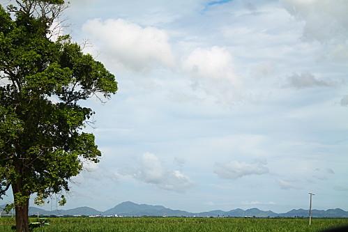 D'Higuey et Boca Yuma, et ile Catalyna vacances-2012-7163.JPG