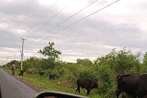 D'Higuey et Boca Yuma, et ile Catalyna vacances-2012-7134.JPG
