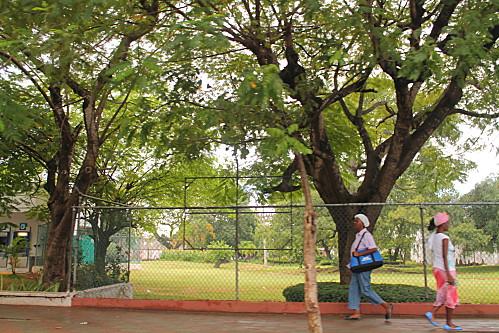 D'Higuey et Boca Yuma, et ile Catalyna vacances-2012-7132.JPG