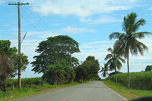 D'Higuey et Boca Yuma, et ile Catalyna vacances-2012-7170.JPG