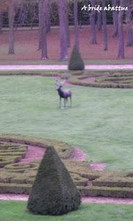 Visite éclair de Vaux-le-Vicomte Visite éclair de Vaux-le-Vicomte