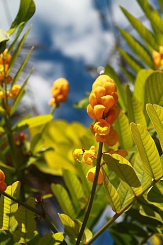 Cueva de las Maravillas vacances-2012 7620