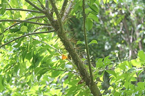 Cueva de las Maravillas vacances-2012-7561.JPG