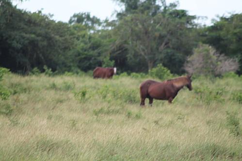 Cueva de las Maravillas vacances-2012 7573