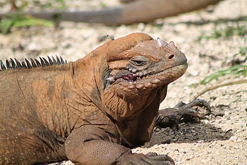 Cueva de las Maravillas vacances-2012 7532