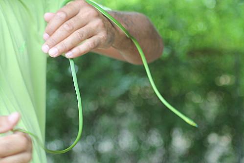Cueva de las Maravillas vacances-2012 7547