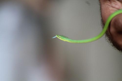 Cueva de las Maravillas vacances-2012 7541
