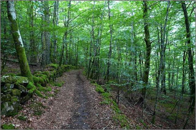 tarnac, un acte préparatoire tarnac, un acte préparatoire
