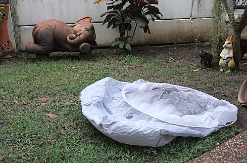 28 novembre 2012. Loy Krathong ou fête des lumières. DSCF2563