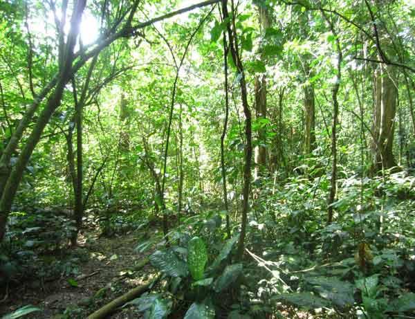coatepeque Coatépèque