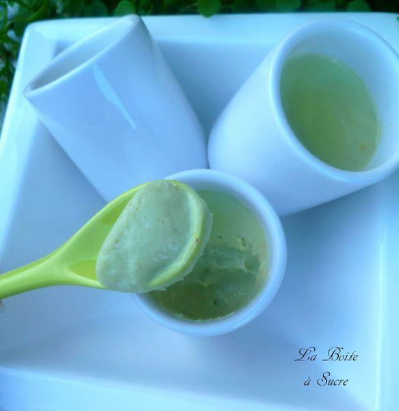 Pana cotta à l'avocat et vanille Pana cotta avocat vanille 2