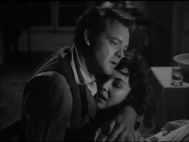 Madame bovary essay