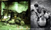 La Catastrophe de Bhopal