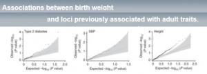 DIABÈTE: Un nouveau lien génétique entre poids de naissance et métabolisme adulte – Nature Genetics
