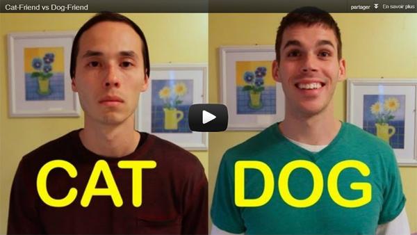 Vidéo Fun le chat humain vs le chien humain Vidéo Fun le chat humain vs le chien humain