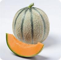 Vincent Peillon et son gros melon