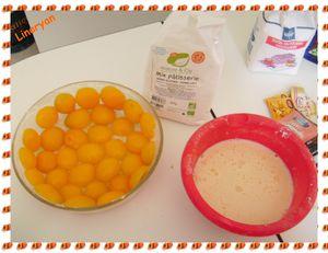 J'ai testé le Mix pâtisserie de Nature & Cie... IMGP0581