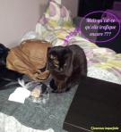 Välkommen till mig ♡ Välkommen till mig ♡