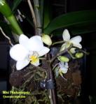 Välkommen till mig ♡ Välkommen till mig ♡