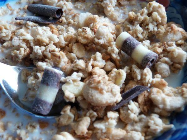 C'est Noël avant l'heure :) P1000559