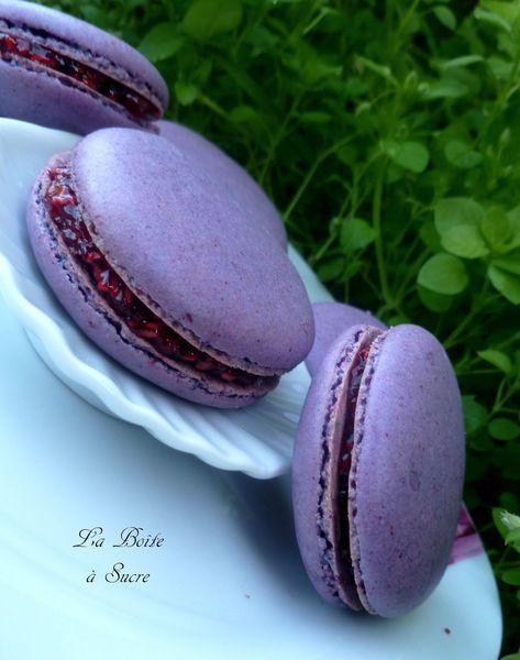 Macarons violette framboise 3