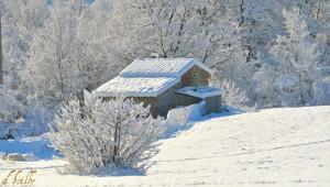 485183_336958599685408_840509736_n De belles cartes postales