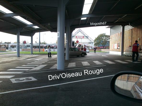 Drive-oiseau-rouge-2 Driv’Oiseau Rouge