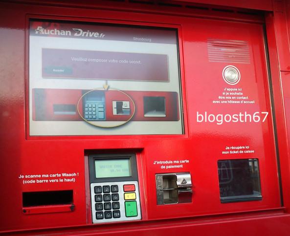 Drive-oiseau-rouge Driv’Oiseau Rouge