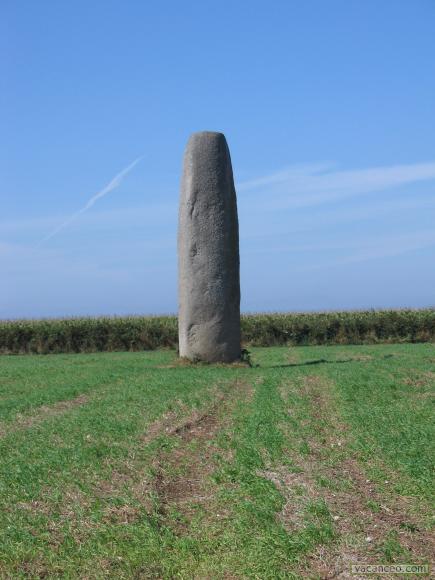 Un Menhir breton (au beau milieu d'un champs)