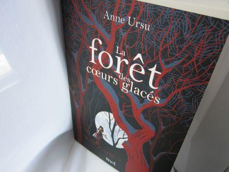 Il était une fois... Hazel et Jack. IMG_8376