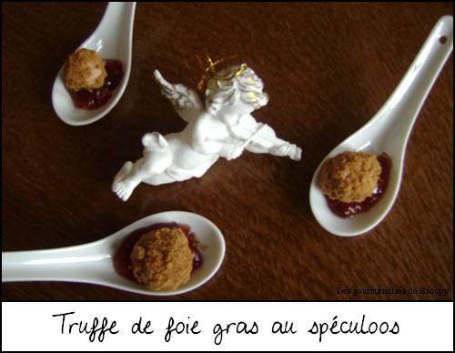 Truffe-de-foie-gras-au-speculoos.jpg