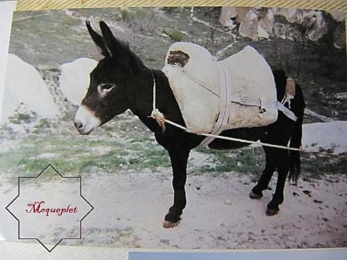 La Turquie - 2 - La-Cappadoce 0079 1