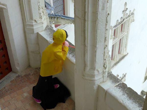 Whodunnit ? P1000054