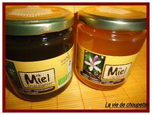 DIRECTOBIO direct obio 002