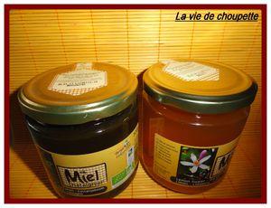 DIRECTOBIO direct obio 001