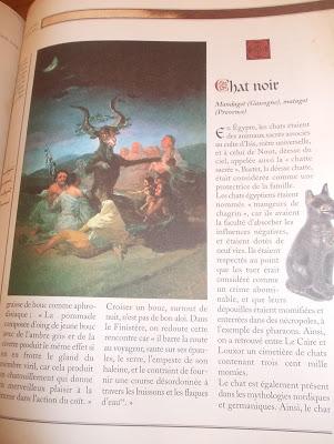 GRANDE ENCYCLOPÉDIE DU MERVEILLEUX d'Edouard Brasey GRANDE ENCYCLOPÉDIE DU MERVEILLEUX d'Edouard Brasey