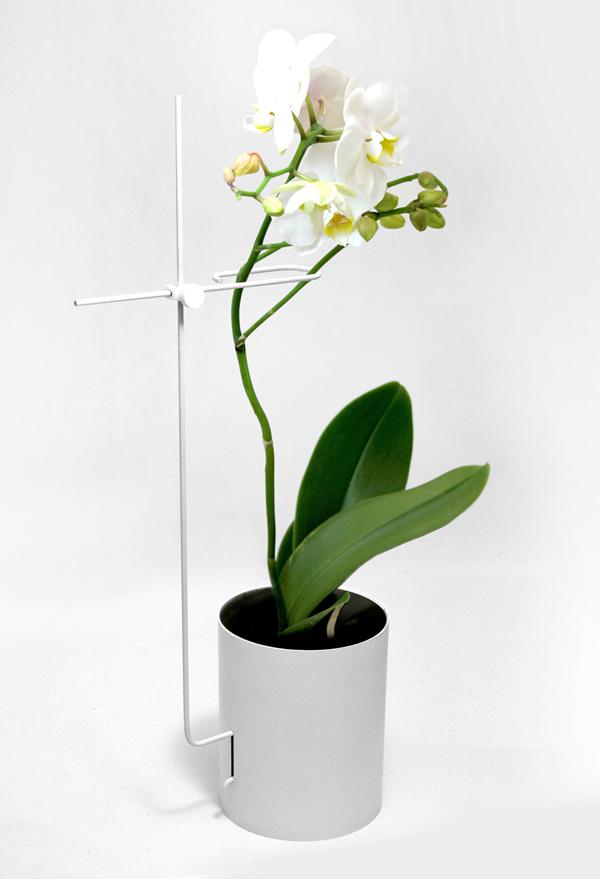 orchid pod-1© 2011-2012YangRipol