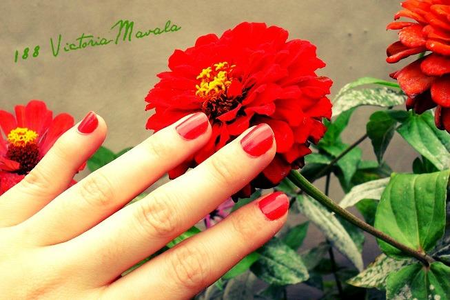 GlossyBox célèbre Noël (Box & la Glossy Christmas Party). o-matic-copie-2.jpg