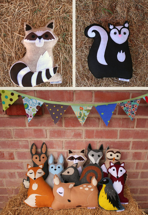 Raccon everywhere ! raccoon and pets