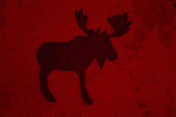 Nous sommes tous des survivants ! Image