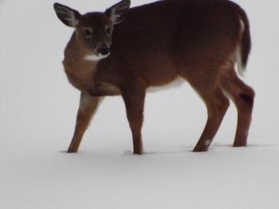 Joyeux soltice et nouvelle ère Maya Joyeux soltice et nouvelle ère Maya