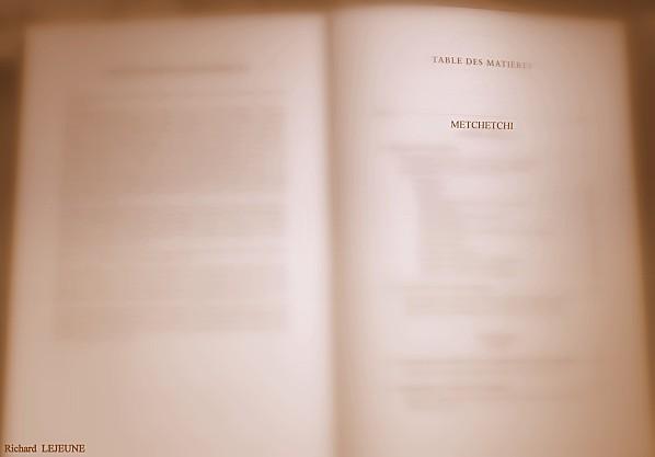 SALLE 5 - VITRINES 4 et 4 ² : LES PEINTURES DU MASTABA DE METCHETCHI - 57. TABLE DES MATIÈRES Table-des-Matieres--13-12-2012-.jpg