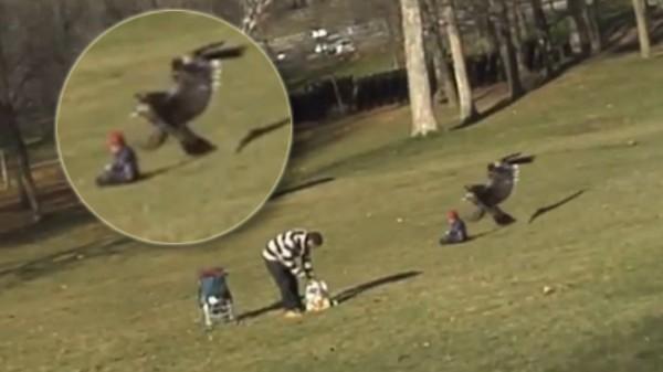 La vidéo de l'aigle qui enlève un enfant est un FAKE