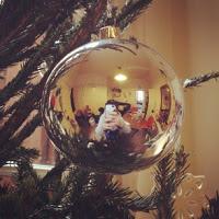 Les Photos du Dimanche #53 Les Photos du Dimanche #53